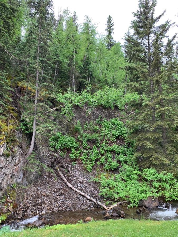 Whitetail Creek * Lead